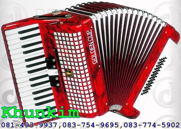 ขายเครื่องดนตรีแอ๊คคอร์เดี้ยน Accordion รูปที่ 5