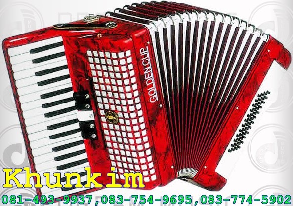 ขายเครื่องดนตรีแอ๊คคอร์เดี้ยน Accordion รูปที่ 7