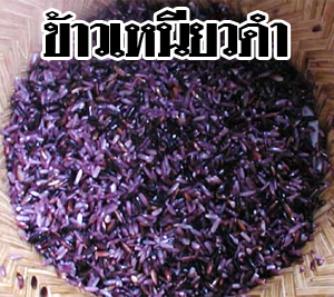 กระชายดำสด อบแห้ง ส่งออก เกาหลี ญี่ปุ่น เพชรบูรณ์ 0892066080 รูปที่ 6