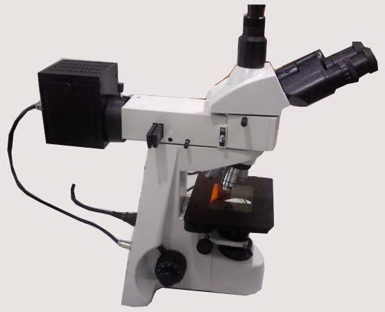 กล้องจุลทรรศน์ราคาถูก รูปที่ 4