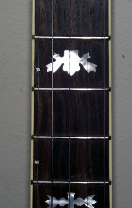 เครื่องดนตรี Banjo 5 สาย FENDER รุ่น FB-59 พร้อมกล่อง รูปที่ 3