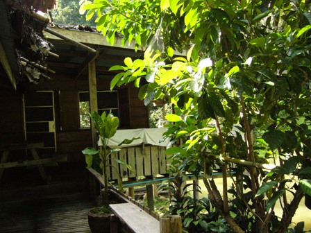ที่พักโฮมเสตย์เรียบง่าย หรือหาที่ปักเต็นท์/แคมปิ้ง บรรยากาศส่วนตัวริมลำน้ำห้วยขาน จ.แม่ฮ่องสอน รูปที่ 3