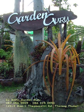 PhuketGardenservice ;One-off jobs or regular maintenance contracts weekly, fortnightly or monthly or yearly to suit your needs. รูปที่ 3