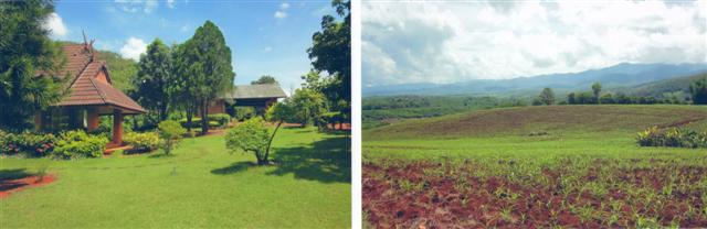 ที่ดินวิวสวย พร้าว เชียงใหม่(Nice view land Phrao, Chiang Mai)  รูปที่ 1