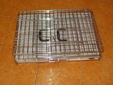 *****อาหารROYAL และกรงพับราคาสุดถูก พร้อมส่งฟรีทั่วประเทศ***** รูปที่ 4