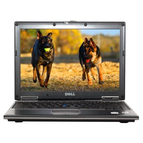 Review Dell Latitude D430 12.1