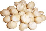 Raw Organic Macadamia Nuts-1 lbs. รูปที่ 1