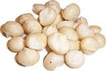 Raw Organic Macadamia Nuts-1 lbs.