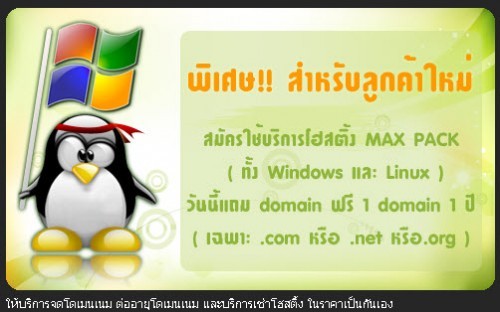 บริการจดโดเมนเนม ต่ออายุโดเมนเนม(Domain name) และบริการเช่าโฮสติ้ง(Hosting) ในราคาเป็นกันเอง รูปที่ 4