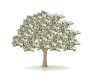 รูปย่อ Moneytree.com รูปที่1