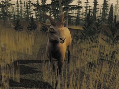 Trophy Hunter 2003 (Jewel Case) [pc CD-ROM] รูปที่ 4