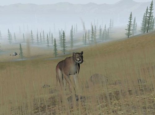 Trophy Hunter 2003 (Jewel Case) [pc CD-ROM] รูปที่ 5