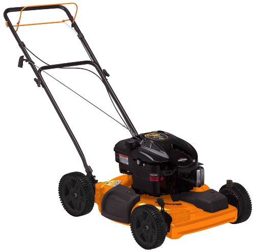 Poulan Pro PR625Y22SHP 22-Inch 190cc Briggs & Stratton 625 Series Gas Powered Side Discharge/Mulch FWD Self Propelled Lawn Mower รูปที่ 1