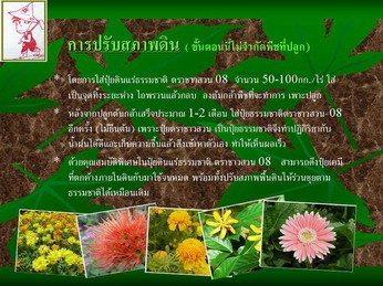 ปุ๋ยแร่ธรรมชาติ:ตราชาวสวน-08 " ปุ๋ยคุณภาพสูง+ประสิทธิภาพดีเยี่ยม" รูปที่ 4