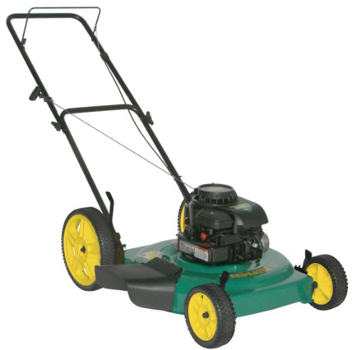 Weed Eater 961140013 22-Inch 158cc Briggs and Stratton Gas Powered Side Discharge/Mulch Lawn Mower รูปที่ 1