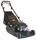 Hayter Harrier HARR56 Commercial Grade 22-Inch Briggs & Stratton 5.5 OHV Gas-Powered Self-Propelled Striping Lawn Mower