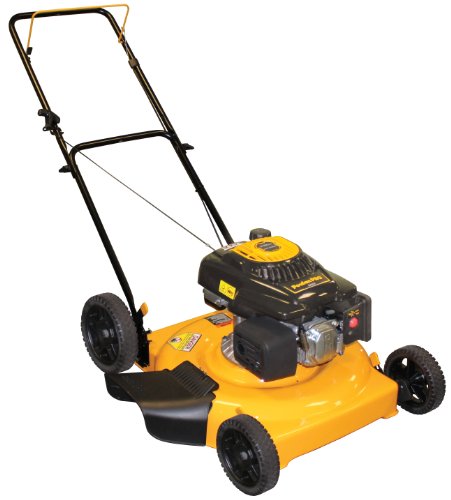 Poulan Pro PR550N22S 22-Inch 140cc Briggs and Stratton 500 Series Gas Powered Side Discharge Push Lawn Mower รูปที่ 1