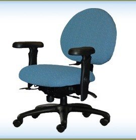 NeutralPosture® Seating XSM  รูปที่ 1