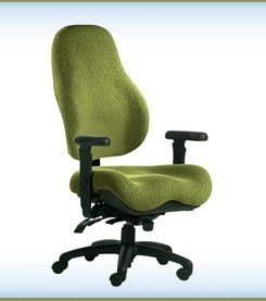 NeutralPosture® Seating NPS8900  รูปที่ 1