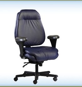 NeutralPosture® Seating Bigg & Tall BTC16800PT  รูปที่ 1