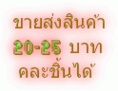 สินค้าค้าส่ง ขายส่งราคาถูก ราคาขายส่งทุกอย่าง 20 บาท