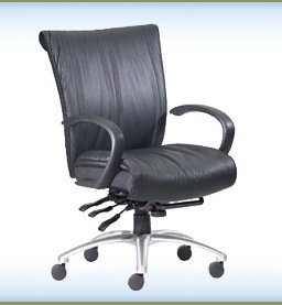 NeutralPosture® Seating Embrace MotionTM EMM2166-S-B8  รูปที่ 1