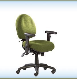 NeutralPosture® Seating NPS5600  รูปที่ 1