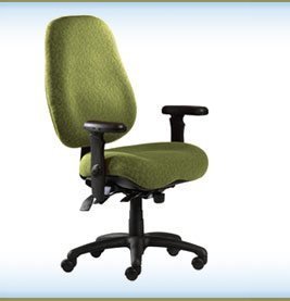 NeutralPosture® Seating NPS6600  รูปที่ 1