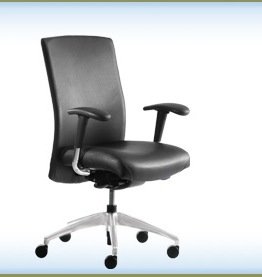 NeutralPosture® Seating BalanceTM BAL5219-U2  รูปที่ 1