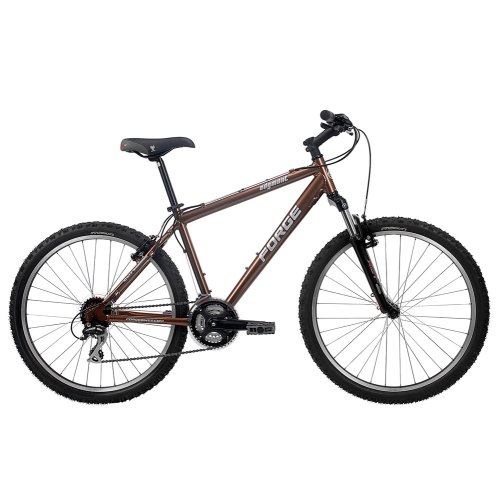 Forge Edgmont Path and Mountain Frame Bike - 17.5