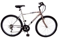 Titan Mens Pioneer Mountain Bike ( Titan Mountain bike )