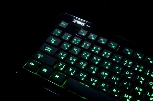 ขาย คีย์บอร์ด คอมพิวเตอร์ มีไฟ เรืองแสง Illuminate Keyboard ZIAZ ตาแมว รูปที่ 1
