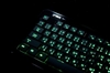 รูปย่อ ขาย คีย์บอร์ด คอมพิวเตอร์ มีไฟ เรืองแสง Illuminate Keyboard ZIAZ ตาแมว รูปที่2