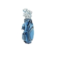 Phoenix XS Ladies Deluxe Complete Set Includes All Clubs, Mallet Putter, And Stand Bag (All graphite shafts Petite size) 