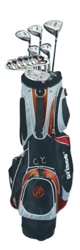 ZX 12 Club Hybrid Package Set MRH Stiff ( Prince Golf )