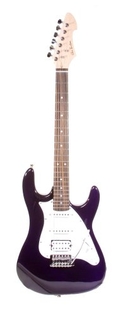 Hurricane by Glen Burton 39 Inch Purple Electric Guitar (Guitar, Gig Bag, Strap, Cable, eBook, Harmonica) ( Guitar Kits )