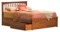 Brooklyn Bed - Twin with Raised Panel Footboard with Underbed Storage by Atlantic Furniture 