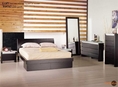 Mobital Modern Wenge Platform Bed With Drawer 