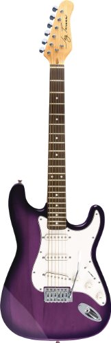 Jay Turser Guitar Kits Jt-300kit-ps Electric Guitar Pack, Purple Sunburst ( Guitar Kits ) รูปที่ 1