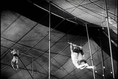 Circus Trapeze Artist Love Movie DVD: Under the Big Top (1938) Flying Trapeze Artist Acrobat Romance Film w/ Acrobatics & Circus Performer Theme DVD