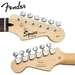 รูปย่อ Fender Squier Affinity Special Black Strat Stop Dreaming, Start Playing Set with Basic Upgrade Pack - Includes: Fender/ GO-DPS 12 Pack Pick Sampler (Part# DPS-FN-SAMPLER), Squier Strings, Ultra Stand & Fender String Winder ( Squier Affinity guitar Kits ) ) รูปที่4