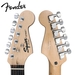 รูปย่อ Squier by Fender Stop Dreaming, Start Playing: Brown Sunburst SE Special Strat with Squier SP-10 Amp (Upgrade Pack includes: Fender String Care & Polishing Kit & MBT Hard Case) and Fender/ GO-DPS 12 Pack Pick Sampler (Part# DPS-FN-SAMPLER) ( Guitar Kits ) รูปที่3