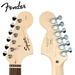 รูปย่อ Fender Squier Affinity Black Strat HSS with G-DEC® Junior Amp Stop Dreaming, Start Playing Set with Fender/ GO-DPS 12 Pack Pick Sampler (Part# DPS-FN-SAMPLER), Squier Strings, Fender String Winder, Fender Slide, Capo & Ultra Stand ( Squier Affinity guitar Kits ) ) รูปที่4