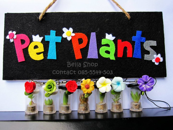 Pet Plants พวงกุญแจต้นไม้จิ๋ว รูปที่ 1