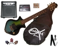 Bluefish Guitar Package ( Goldfish guitar Kits ) )