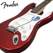 รูปย่อ Fender Squier Affinity Special Metallic Red Strat Stop Dreaming, Start Playing Set with Fender Frontman Amp® 1 & Fender/ GO-DPS 12 Pack Pick Sampler (Part# DPS-FN-SAMPLER) ( Squier Affinity guitar Kits ) ) รูปที่2