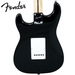 รูปย่อ Fender Squier Affinity Special Black Strat Stop Dreaming, Start Playing Set with Fender Frontman Amp® 1 & Fender/ GO-DPS 12 Pack Pick Sampler (Part# DPS-FN-SAMPLER) ( Squier Affinity guitar Kits ) ) รูปที่3