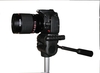 รูปย่อ Rokinon 500mm Mirror Lens for Nikon Mount ( Rokinon Lens ) รูปที่3