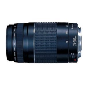 REFURBISHED CANON EOS 7D + CANON 18-55mm IS LENS + CANON 75-300mm ZOOM LENS + VIVITAR 500mm MIRROR LENS + 2X TELECONVERTER LENS + .40X SUPER WIDE ANGLE FISHEYE LENS + 16GB HIGH SPEED MEMORY CARD CLASS 10 + 3 YEAR CELLTIME WARRANTY ( Canon Lens ) รูปที่ 5