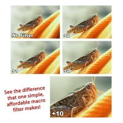Digital Concepts +1 +2 +4 +10 Close-Up Macro Filter Set with Pouch For The Nikon Coolpix 8800 Digital Camera ( Digital Concepts Lens ) รูปที่ 4
